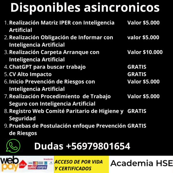 Prevencionista Academia HSE