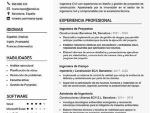 CV Alto Impacto
